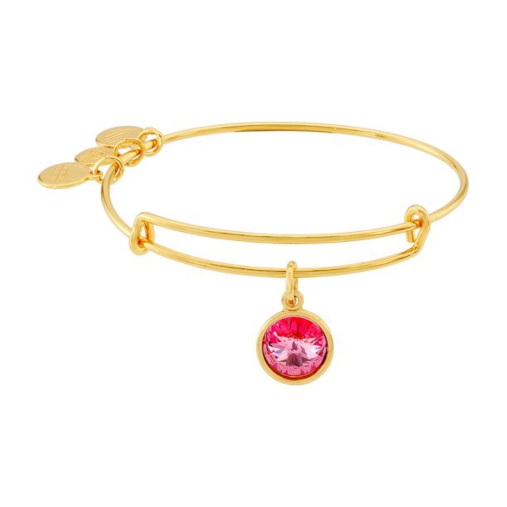 ALEX & ANI Bracelet Set (2 Bracelets) - Picture 3 of 7